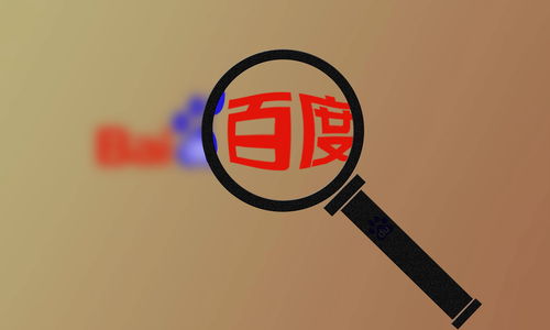 高性能蜘蛛池